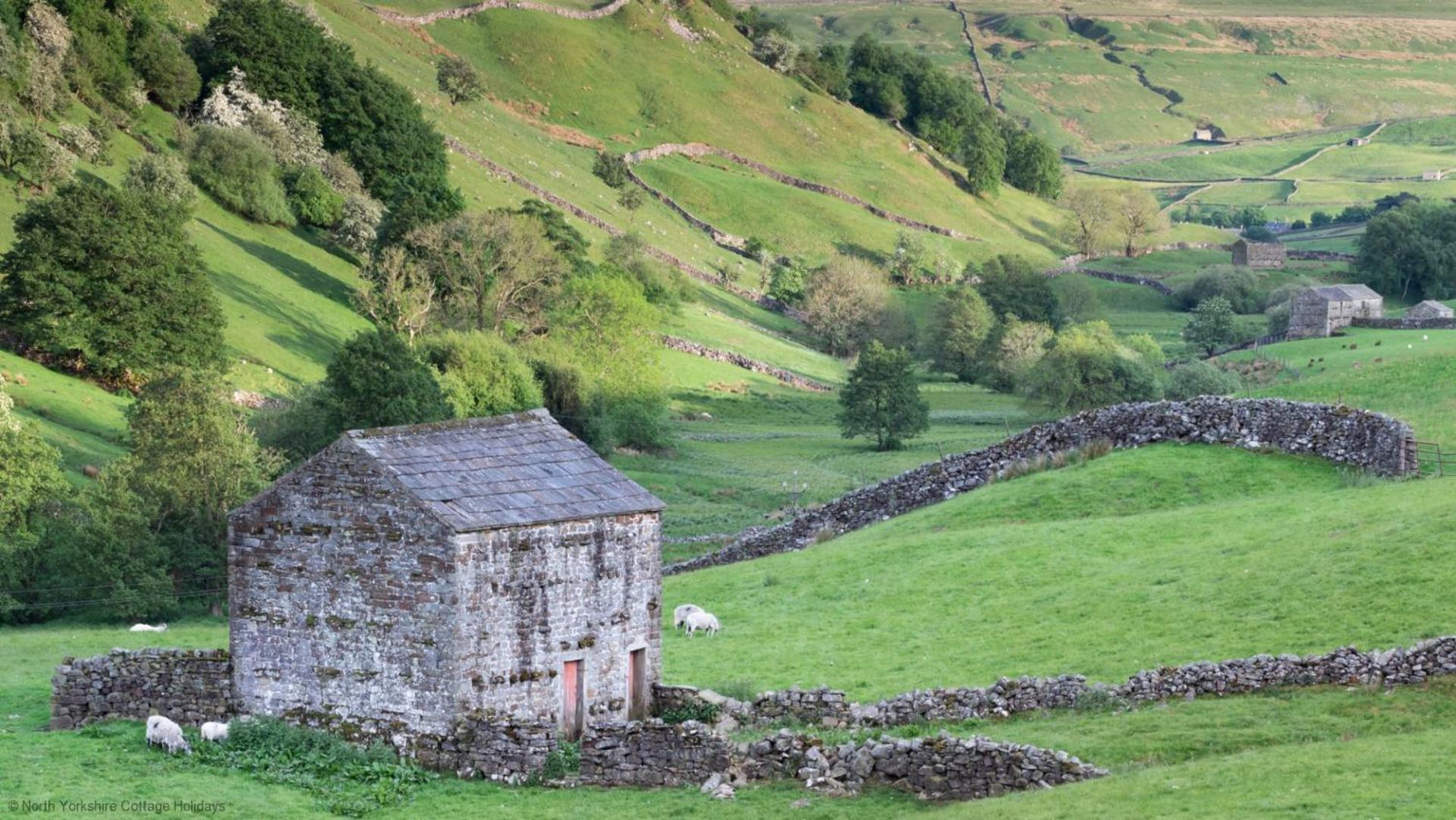 Stone Cottage In Picturesque North Yorkshire Village - Bull Dog Cottage Ampleforth ภายนอก รูปภาพ